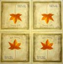 001 Pflanzen - 3 lagig - Molca